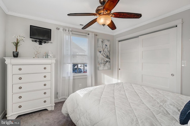 carpeted bedroom featuring ornamental molding, ceiling fan, and a closet