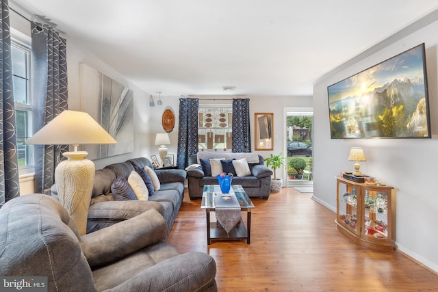 living room featuring wood-type flooring