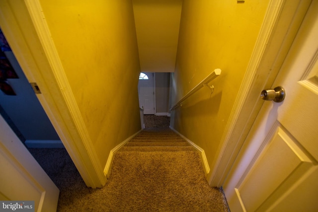 stairs featuring carpet