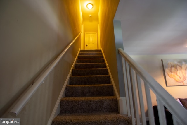 stairs featuring carpet floors