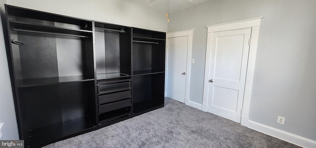 spacious closet featuring carpet