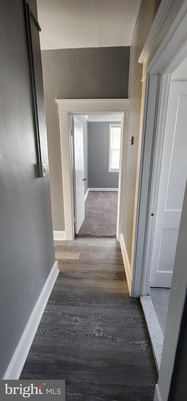 hallway with dark wood-type flooring