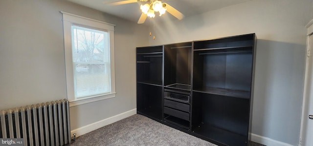 closet with radiator