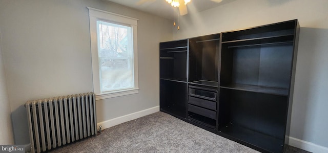 walk in closet featuring dark colored carpet, radiator, and ceiling fan