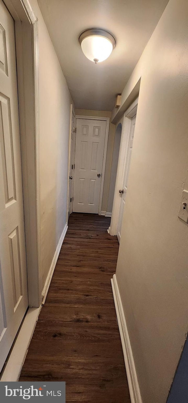 corridor featuring dark wood-type flooring