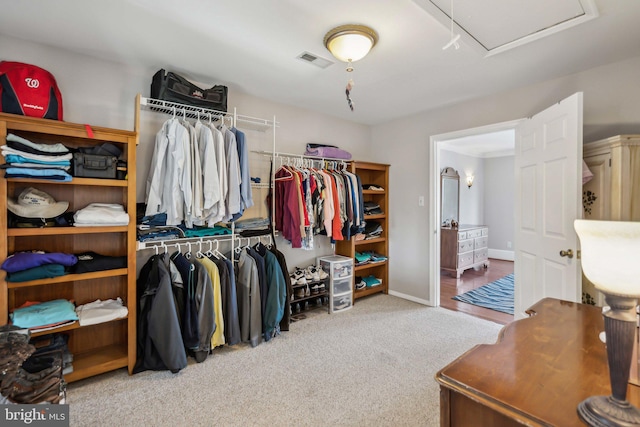 spacious closet with light carpet