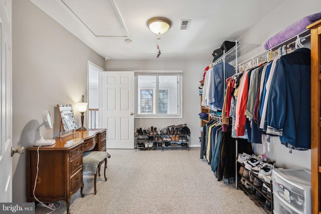 spacious closet featuring carpet flooring