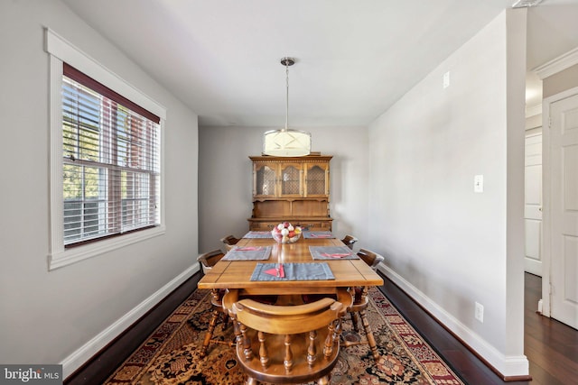 dining room with dark hardwood / wood-style flooring