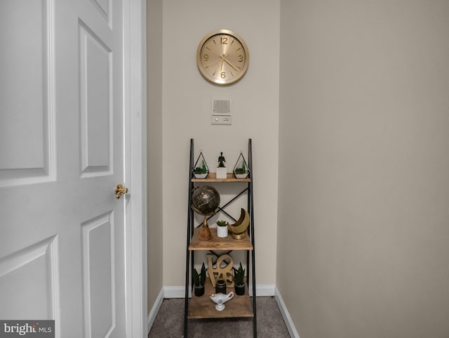 room details featuring carpet flooring