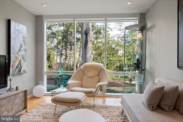 living area with light hardwood / wood-style floors