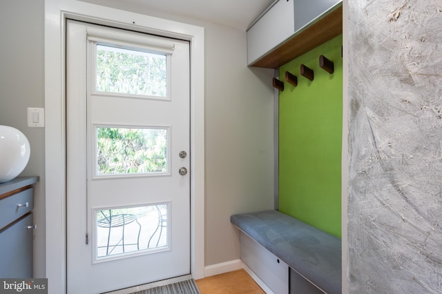 mudroom featuring plenty of natural light