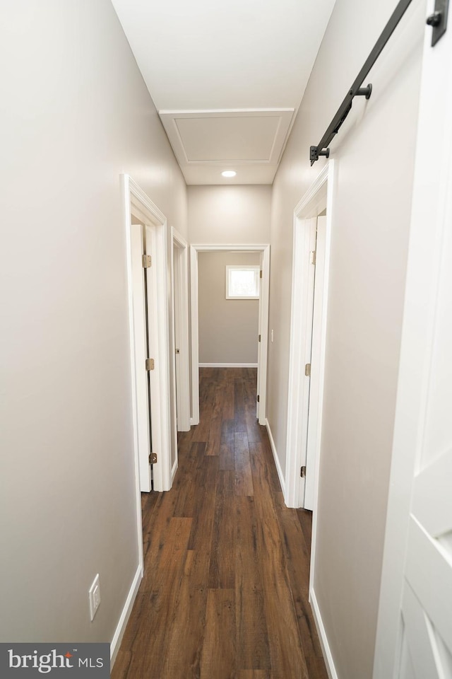 corridor with dark hardwood / wood-style flooring