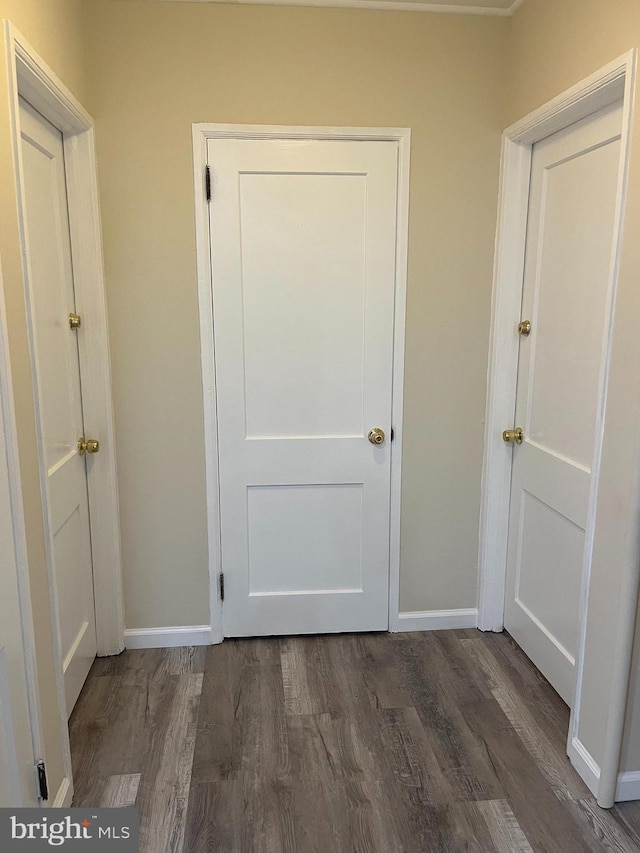 hallway featuring dark hardwood / wood-style flooring