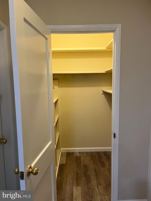 spacious closet featuring dark wood-type flooring