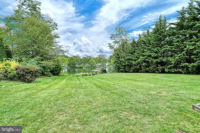 view of yard with a water view