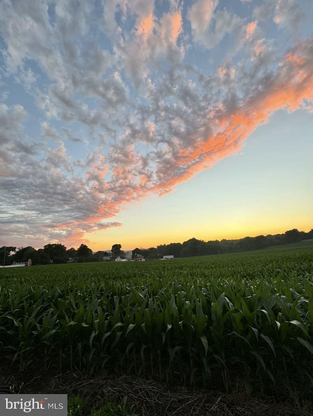 nature at dusk featuring a rural view