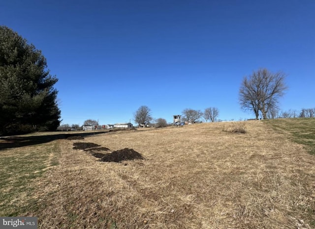 view of yard featuring a rural view