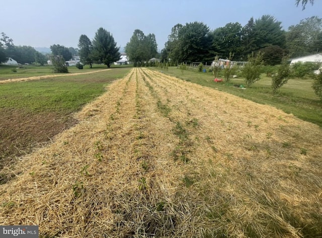 view of yard with a rural view