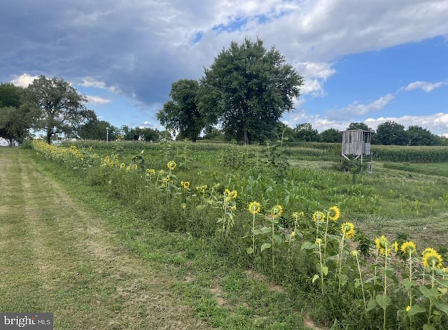 view of yard with a rural view