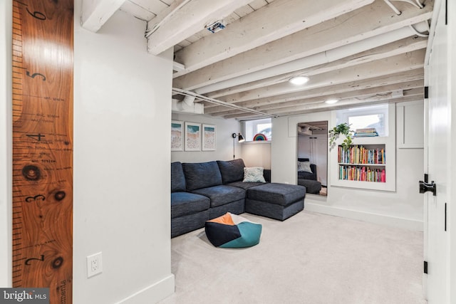 carpeted living room with a wealth of natural light