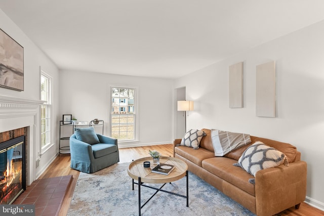 living room featuring wood-type flooring and a fireplace