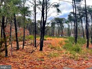 Gravelly Hill Rd, Bridgeton NJ, 08302 land for sale