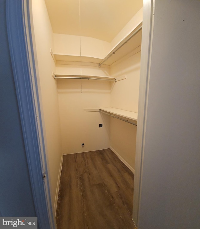 walk in closet with wood finished floors