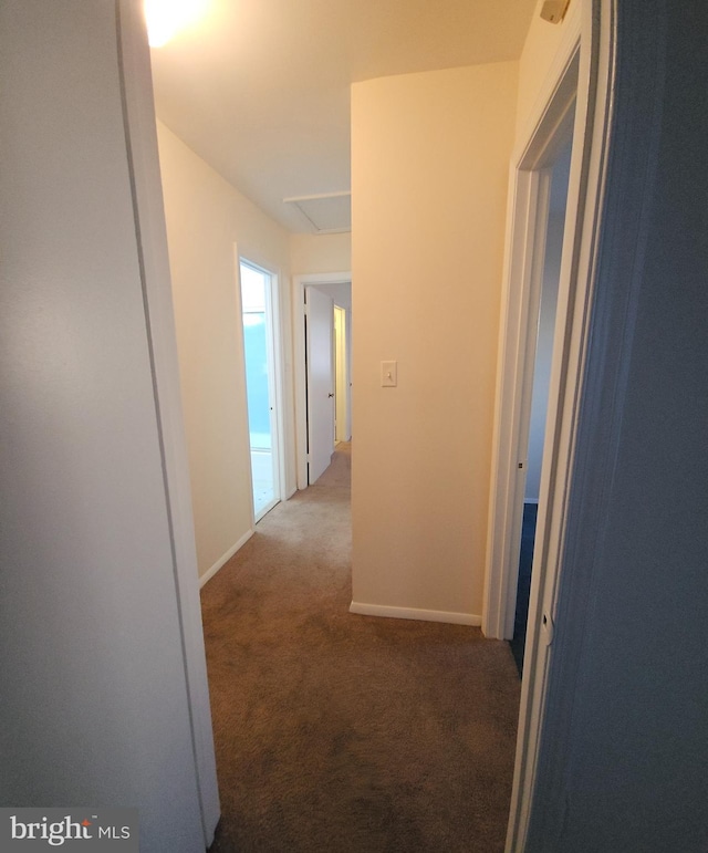 hall featuring attic access, carpet, and baseboards