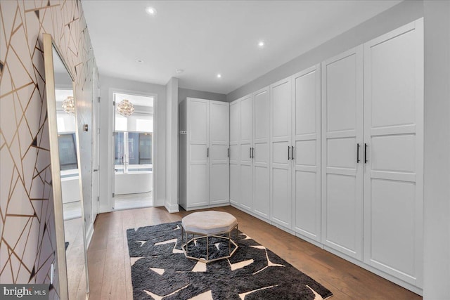 spacious closet with light hardwood / wood-style floors