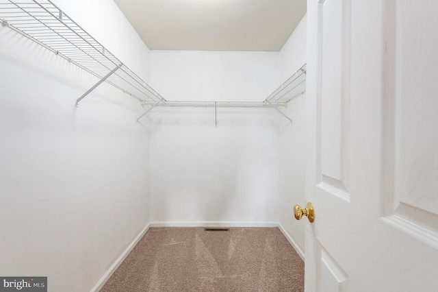 spacious closet with carpet floors