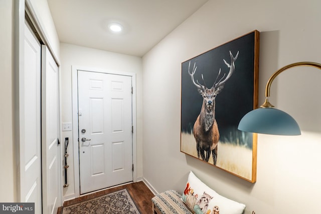 entryway with dark wood-type flooring