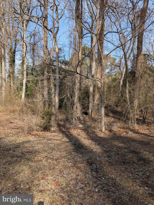 27013 Patriots Way, Millsboro DE, 19966 land for sale