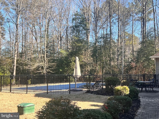 view of pool featuring a patio