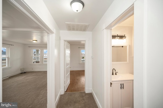 corridor with sink and carpet floors