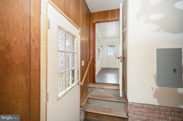 stairway featuring a wealth of natural light, electric panel, and wooden walls