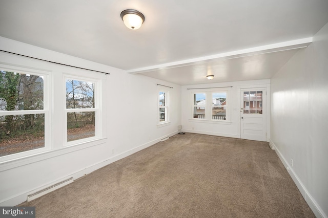 empty room with plenty of natural light and carpet floors