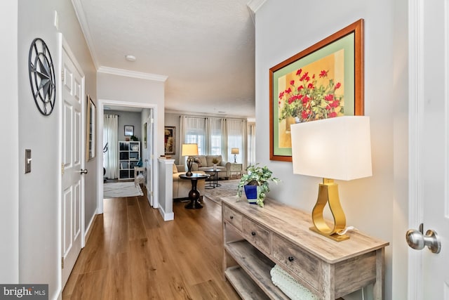 hall featuring crown molding and light wood-type flooring