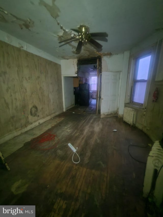 interior space with a wealth of natural light, radiator heating unit, and dark hardwood / wood-style flooring