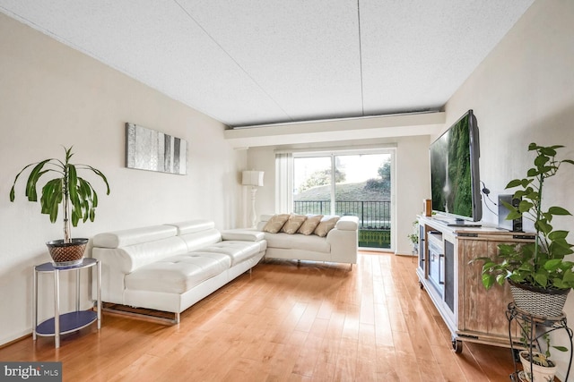 living room featuring hardwood / wood-style flooring and a textured ceiling