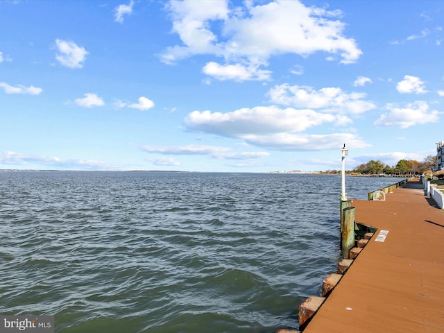 dock area with a water view