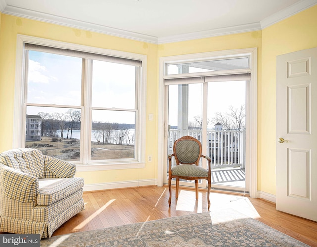 sitting room featuring ornamental molding and a healthy amount of sunlight