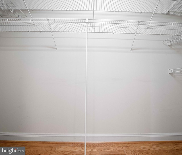 spacious closet with wood-type flooring