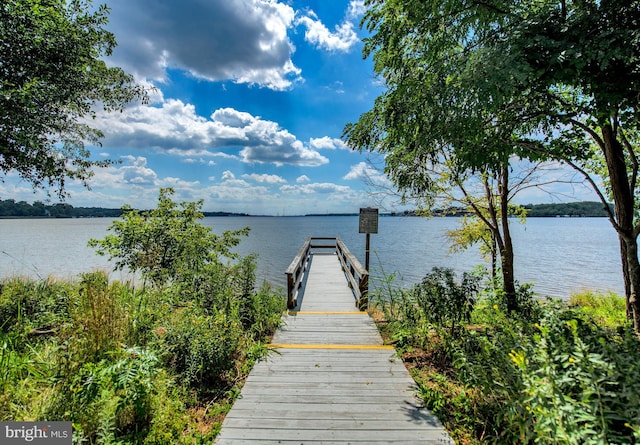 dock area featuring a water view