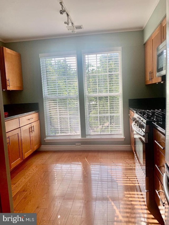 kitchen featuring crown molding, rail lighting, stainless steel appliances, and light hardwood / wood-style floors