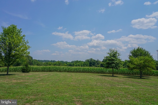 view of yard featuring a rural view