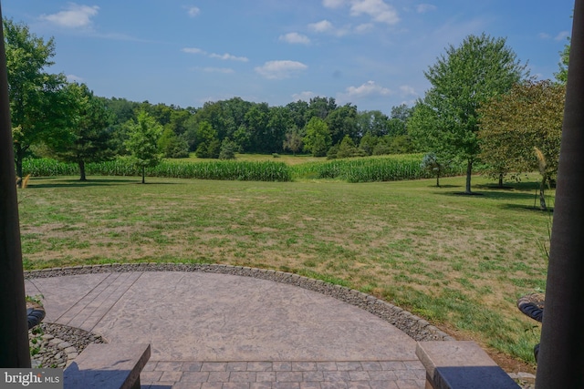 view of yard with a patio