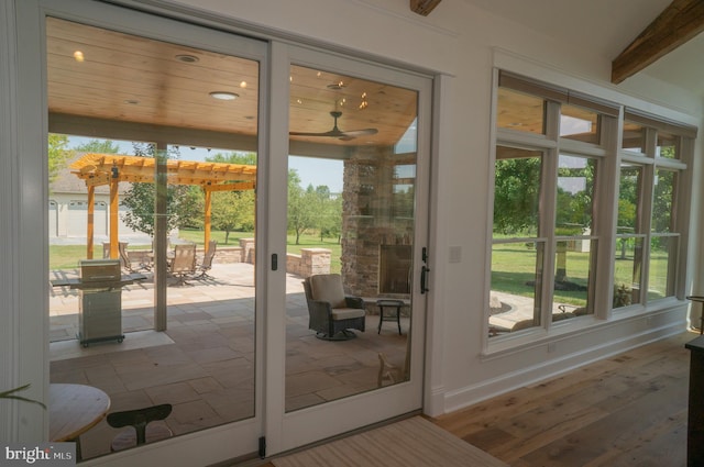 doorway to outside featuring a wealth of natural light and light wood-type flooring