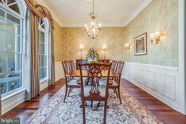 dining room featuring an inviting chandelier, dark hardwood / wood-style floors, and crown molding