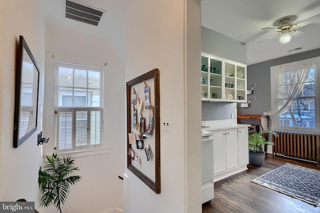 interior space featuring radiator heating unit and dark hardwood / wood-style floors