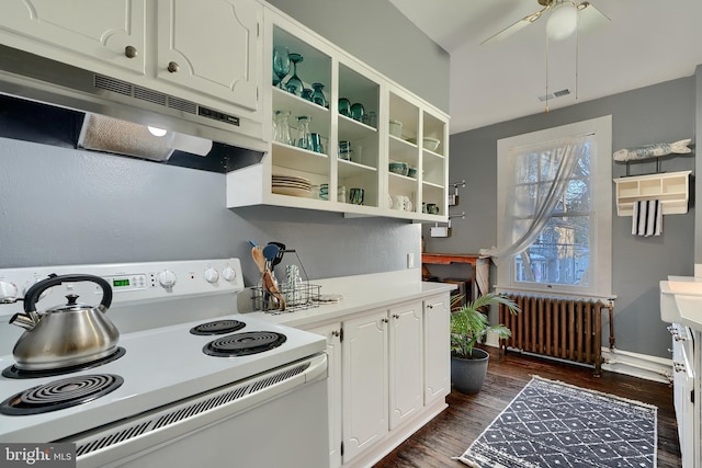 kitchen with white cabinetry, radiator, electric range, and dark hardwood / wood-style flooring